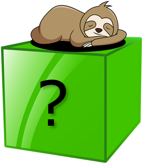 Slothy Store Mystery Box